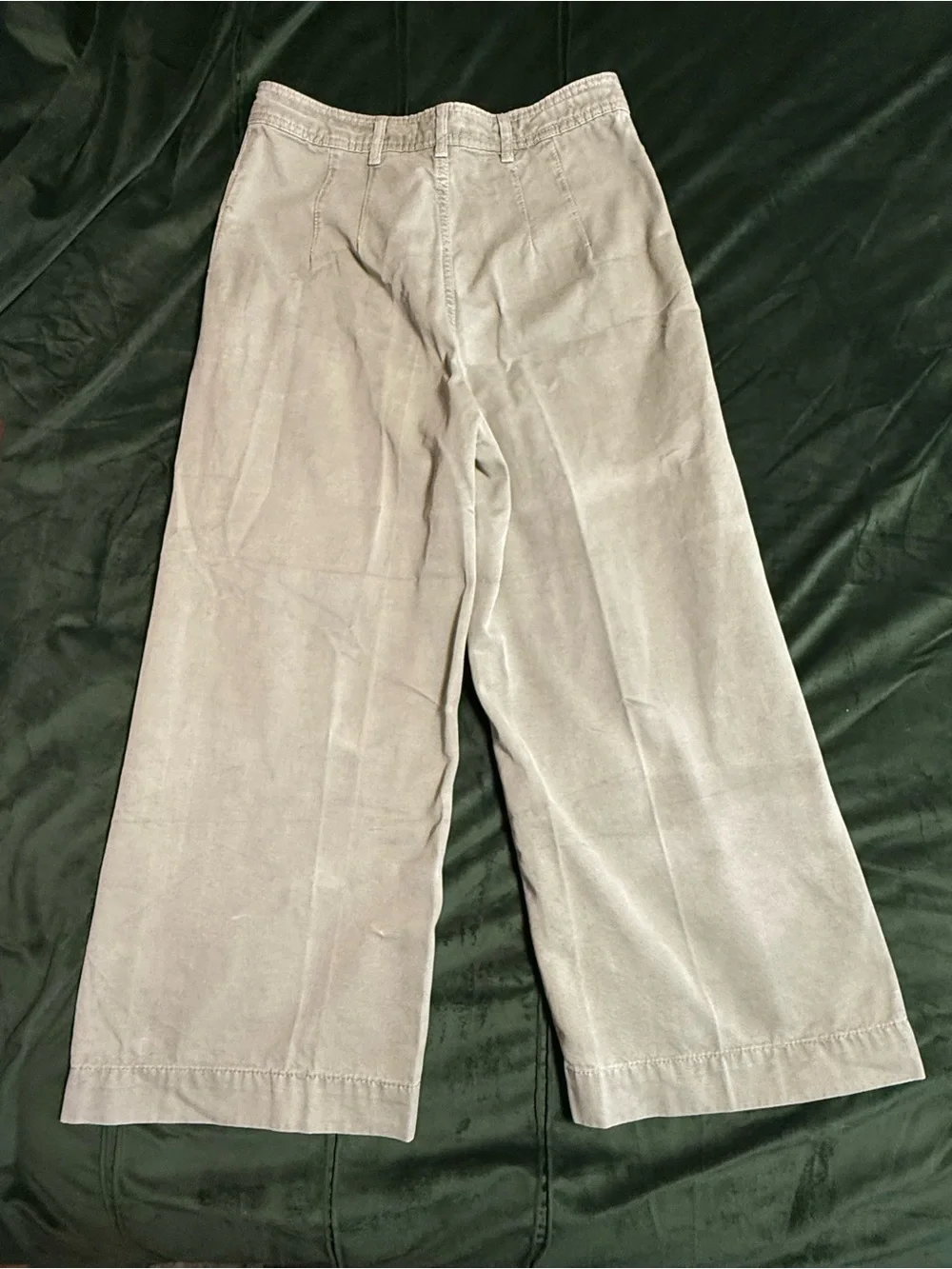 We The Free Wide-Leg Chinos in Light Green/grayy